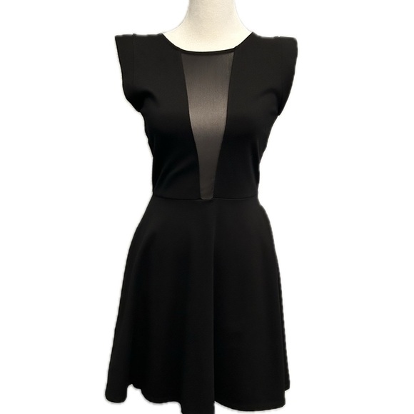 bebe Dresses & Skirts - Bebe Fit and Flare Sheer Black
